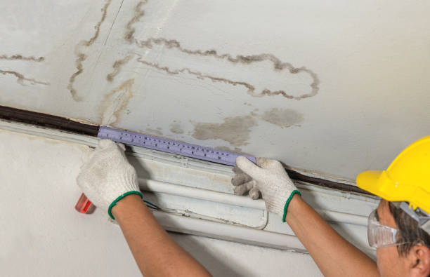 Affordable Ceiling Water Damage Repair solutions in Convoy, OH